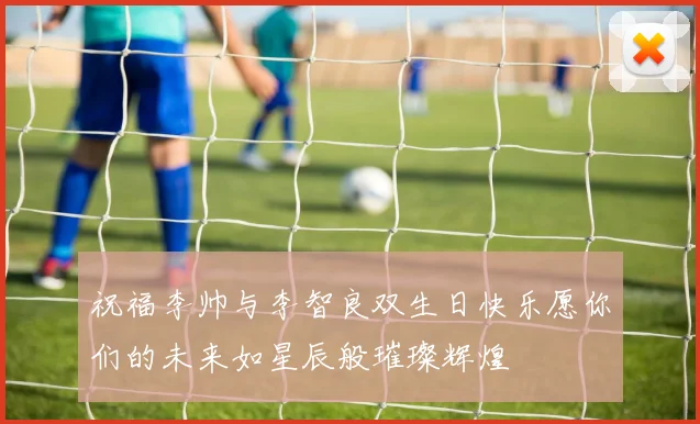 祝福李帅与李智良双生日快乐愿你们的未来如星辰般璀璨辉煌