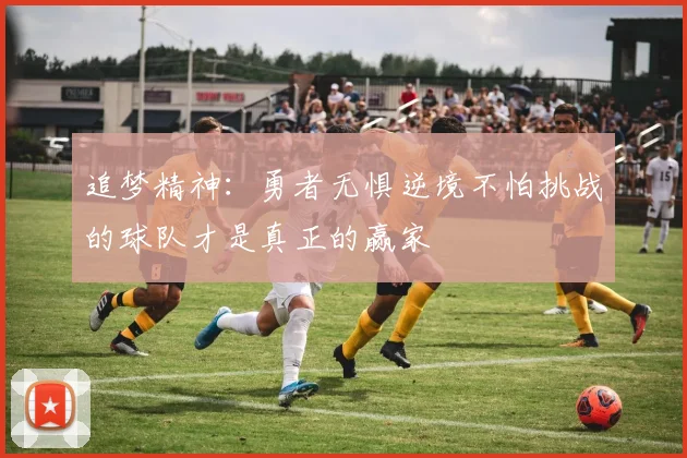 追梦精神：勇者无惧逆境不怕挑战的球队才是真正的赢家